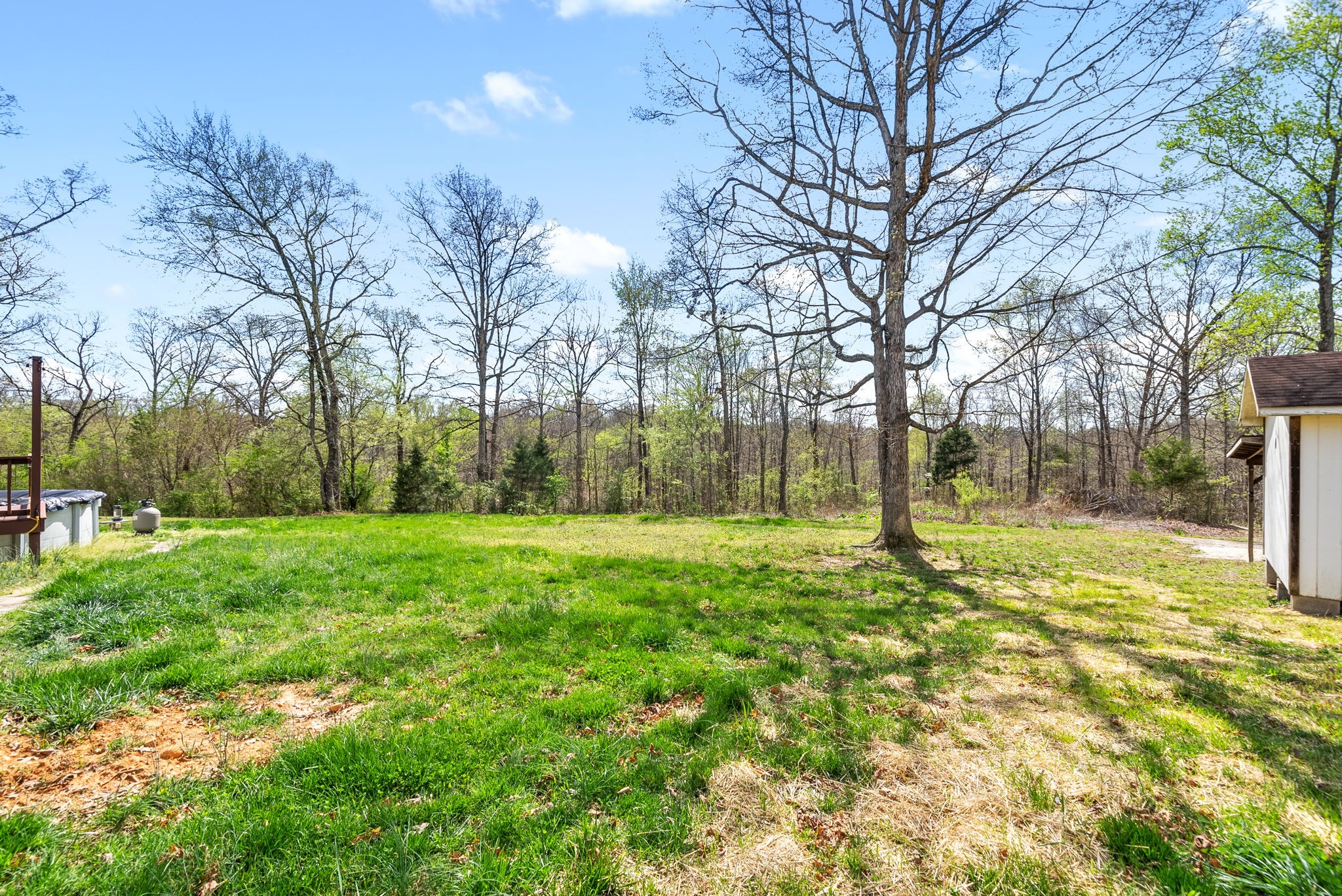 135 Carl Taylor Road Tennessee Ridge, TN 37178 - Photo 29 of 41 a view of yard with tree