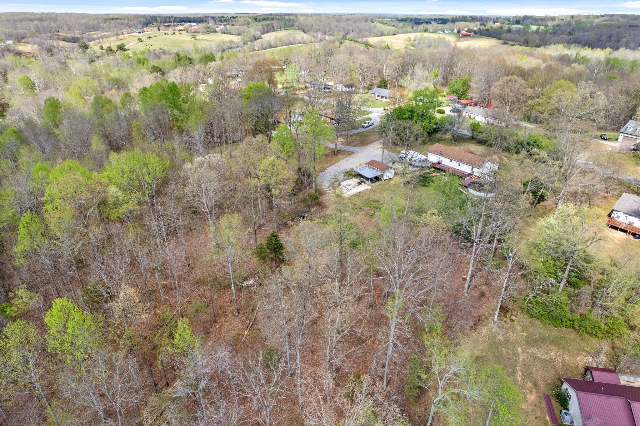 135 Carl Taylor Road Tennessee Ridge, TN 37178 - Photo 39 of 41 a view of lake and green space