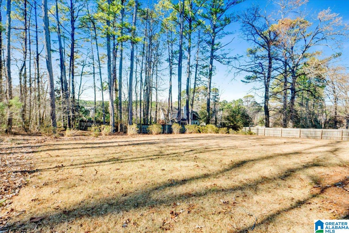 1104 Old Mill Run Leeds, AL 35094 - Photo 41 of 41