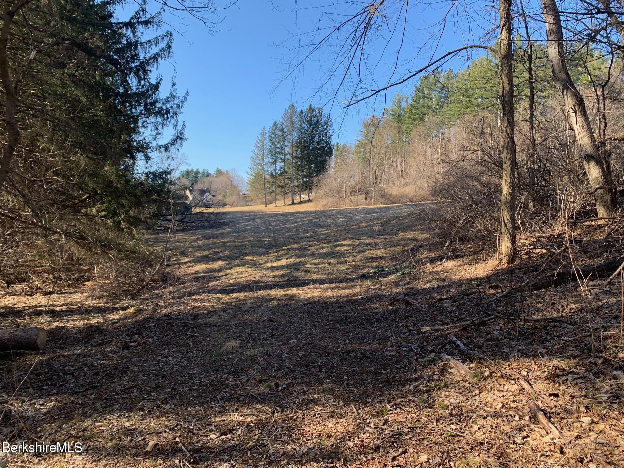 0 Ide Road Williamstown, MA 01267 - Photo 5 of 12 Land