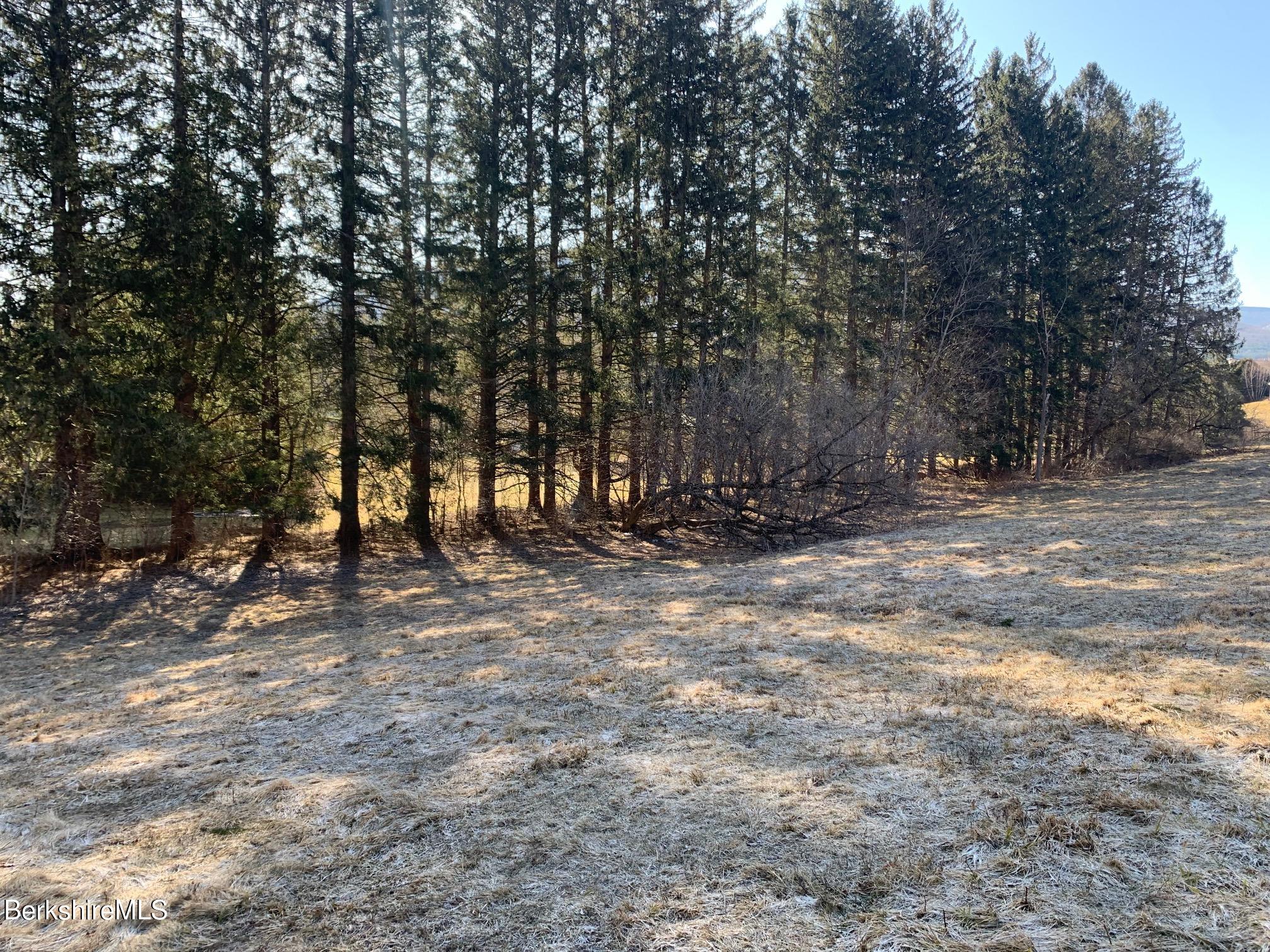0 Ide Road Williamstown, MA 01267 - Photo 7 of 12 Land