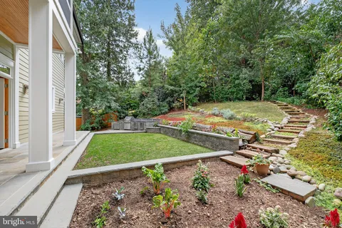 a view of a backyard with large trees
