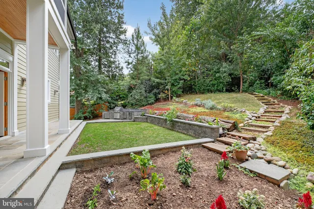 a view of a backyard with large trees