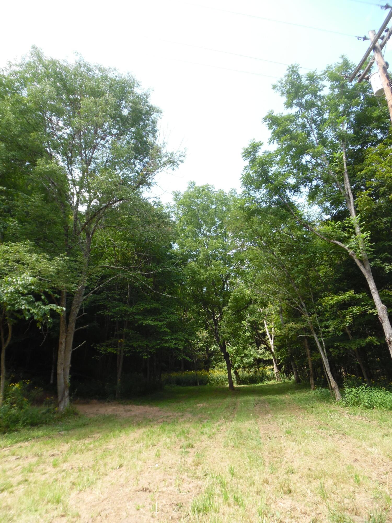 6234 Edray Road Cass, WV 24927 - Photo 29 of 66 Gallery Image 29
