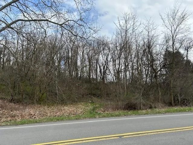 $25,000 | Lot 9 Coyle Curtin Road, Monongahela, PA 15063