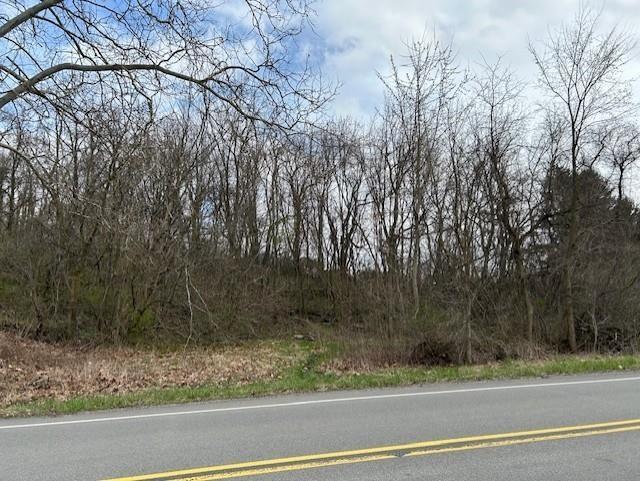 Lot 9 Coyle Curtin Road Monongahela, PA 15063 - Photo 3 of 4
