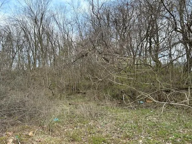 $25,000 | Lot 9 Coyle Curtin Road, Monongahela, PA 15063