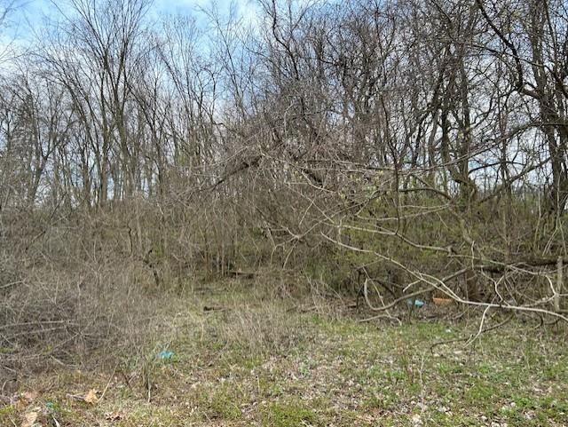 Lot 9 Coyle Curtin Road Monongahela, PA 15063 - Photo 4 of 4