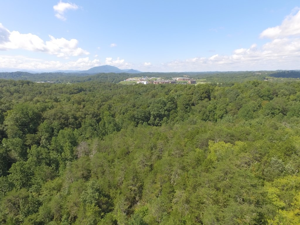 1549 Douglas Dam Road Sevierville, TN 37876 - Photo 13 of 30