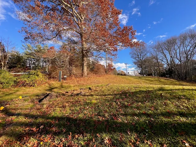 a view of yard with large trees