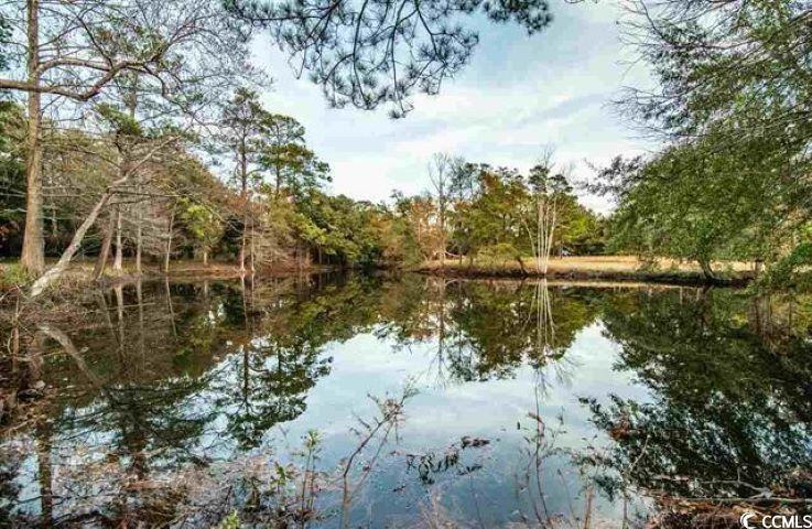 2467 Choppee Road Georgetown, SC 29440 - Photo 5 of 10 Gallery Image 5