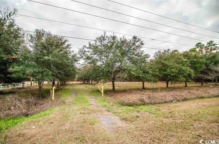 2467 Choppee Road Georgetown, SC 29440 - Photo 6 of 10 Gallery Image 6