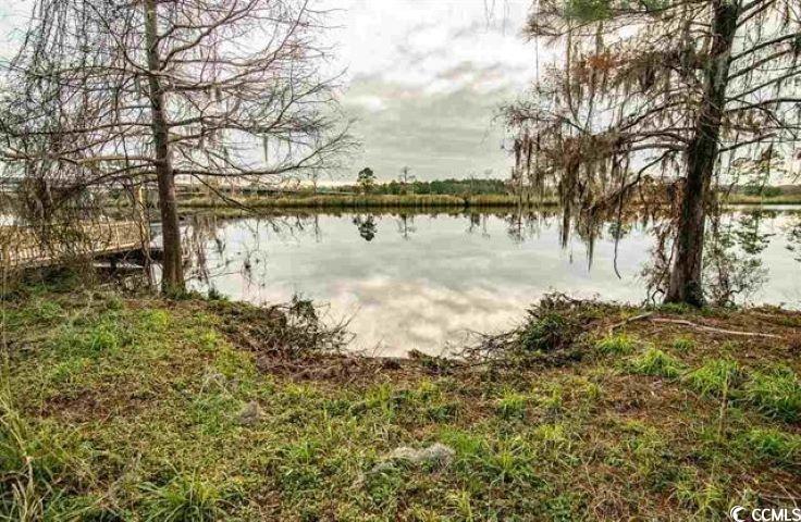 2467 Choppee Road Georgetown, SC 29440 - Photo 7 of 10 Gallery Image 7