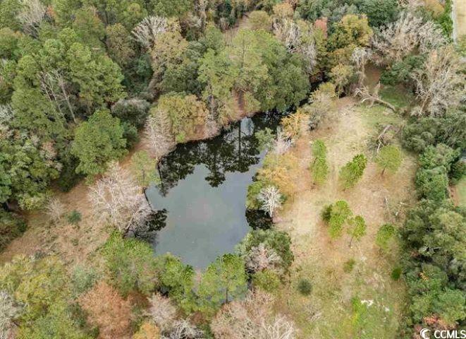 2467 Choppee Road Georgetown, SC 29440 - Photo 9 of 10 Gallery Image 9