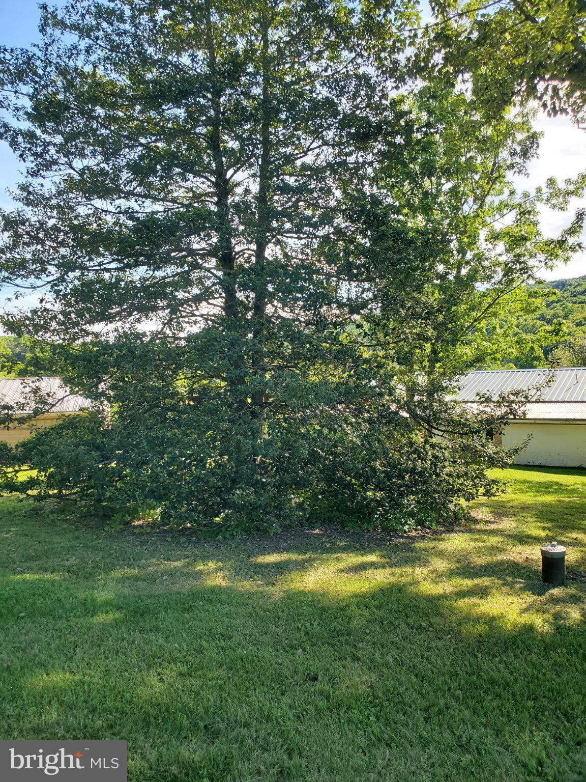 7881 Ford Hill Road Rio, WV 26755 - Photo 6 of 27 Lush greenery in a tranquil setting.