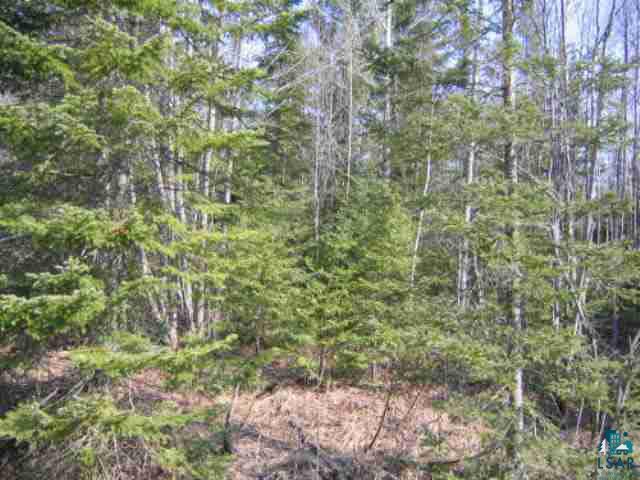 Xxx Nolander Road Barksdale, WI 54891 - Photo 1 of 3 Gallery Image 1