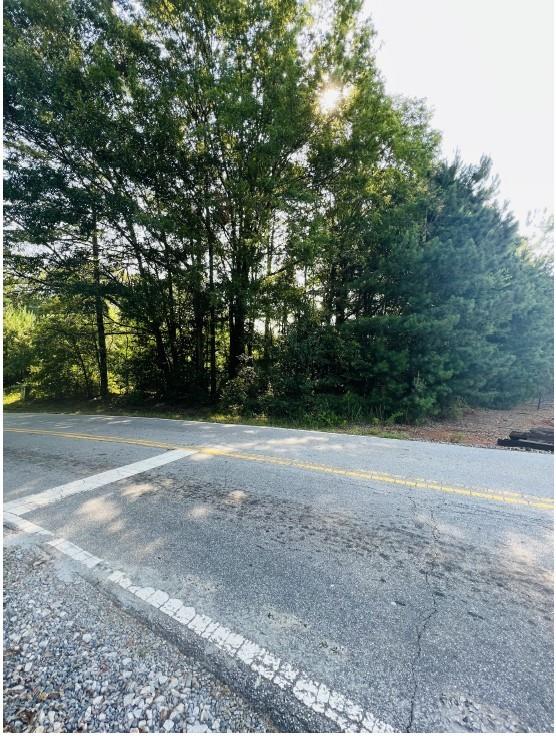 a view of a yard with a trees