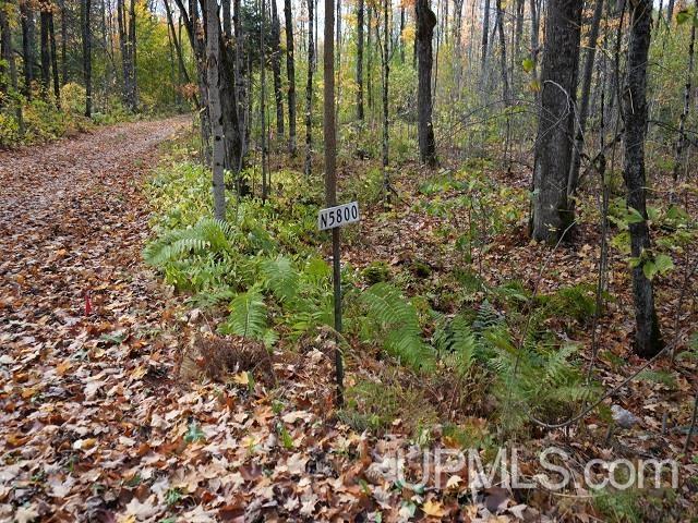 5800 Wolf Lake Road Watersmeet, MI 49969 - Photo 58 of 86