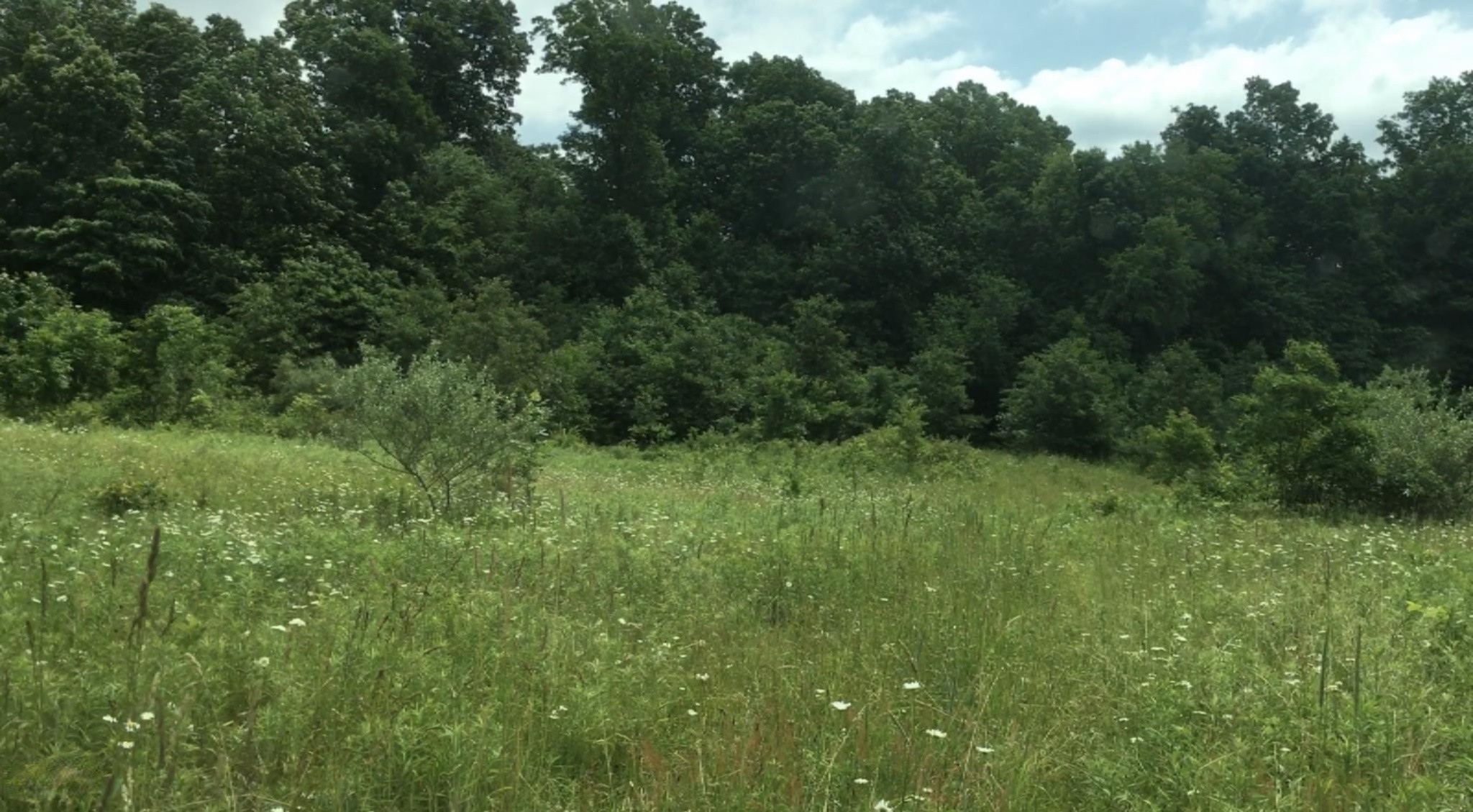 Lindsey Road Plainwell, MI 49080 - Photo 12 of 29 IMG_4409