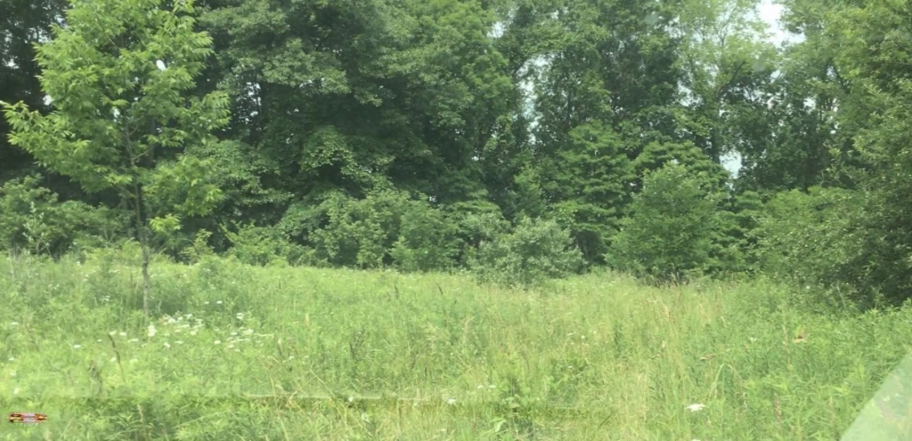 Lindsey Road Plainwell, MI 49080 - Photo 13 of 29 IMG_4410