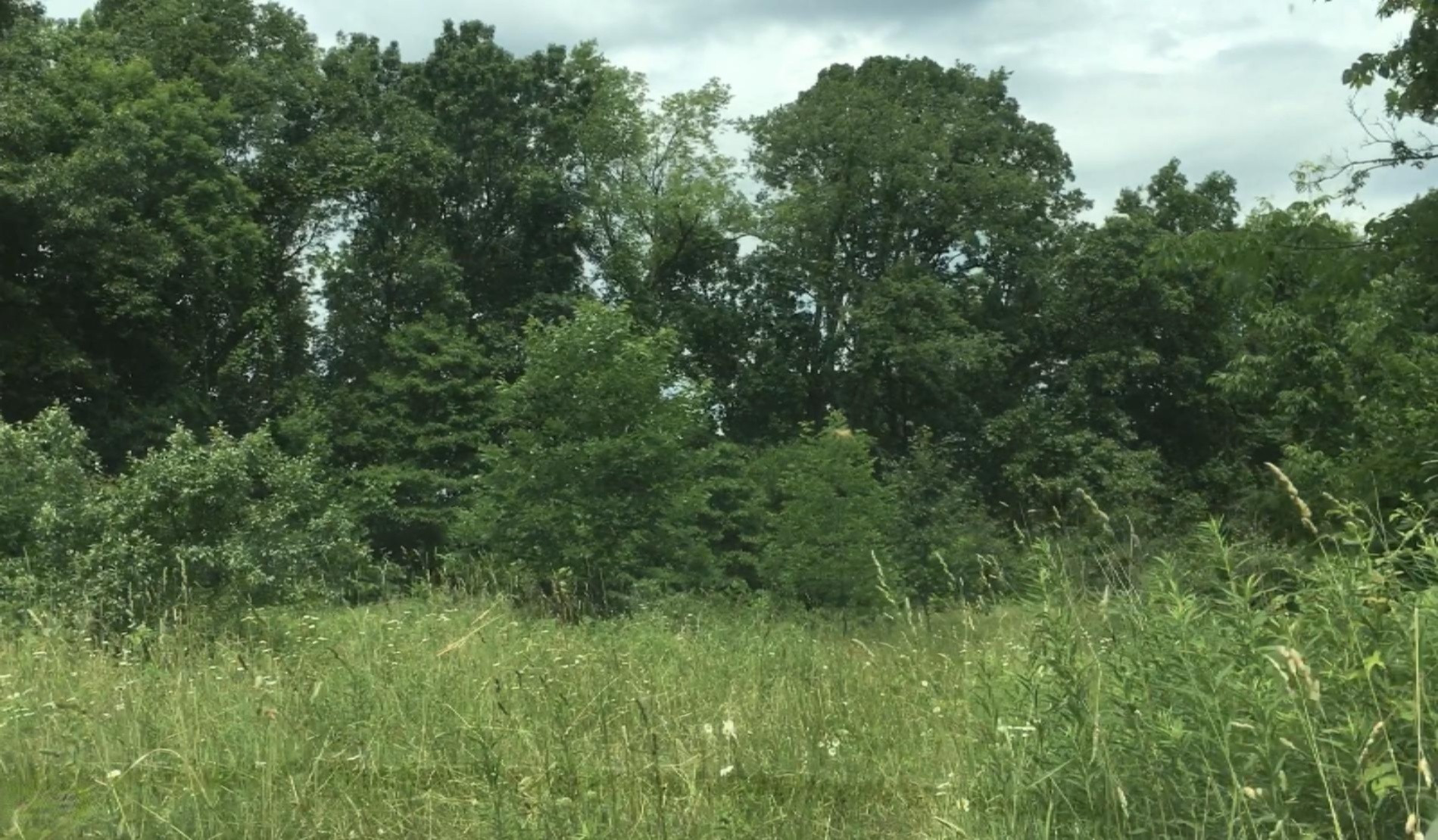 Lindsey Road Plainwell, MI 49080 - Photo 14 of 29 IMG_4411