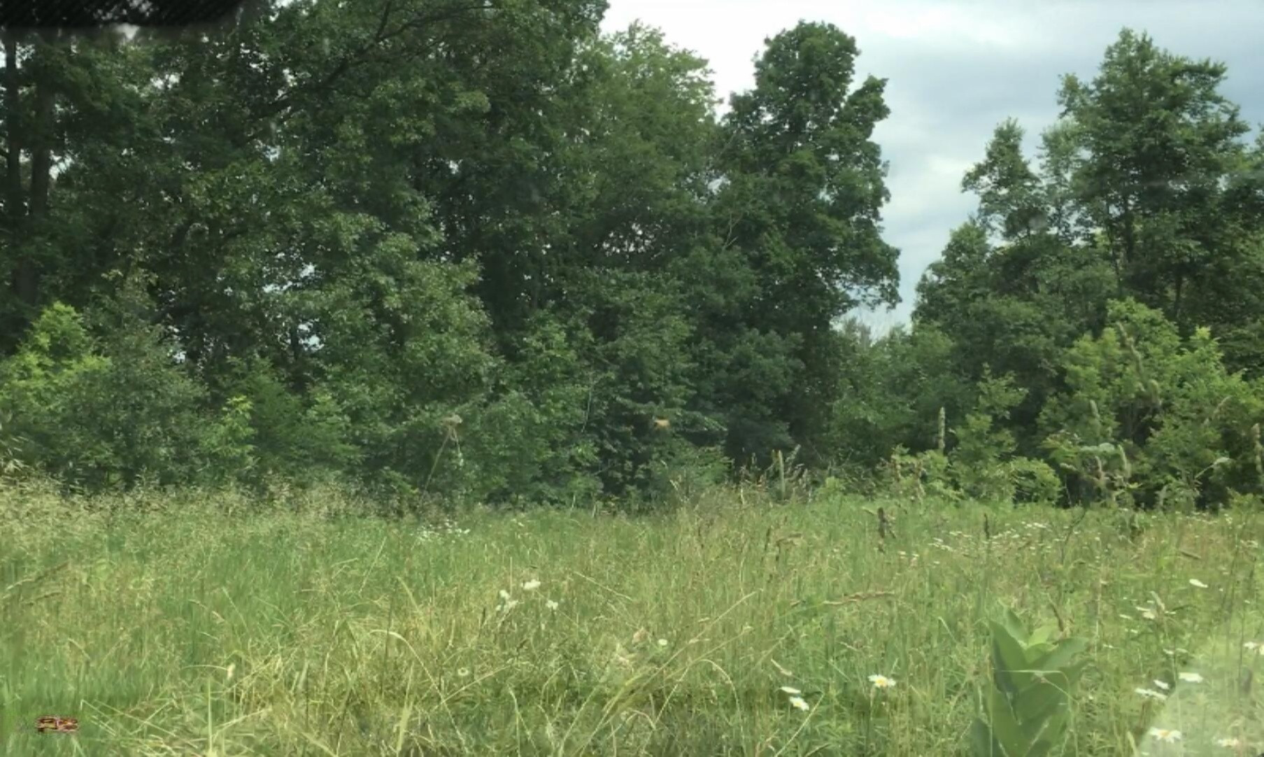 Lindsey Road Plainwell, MI 49080 - Photo 16 of 29 IMG_4414