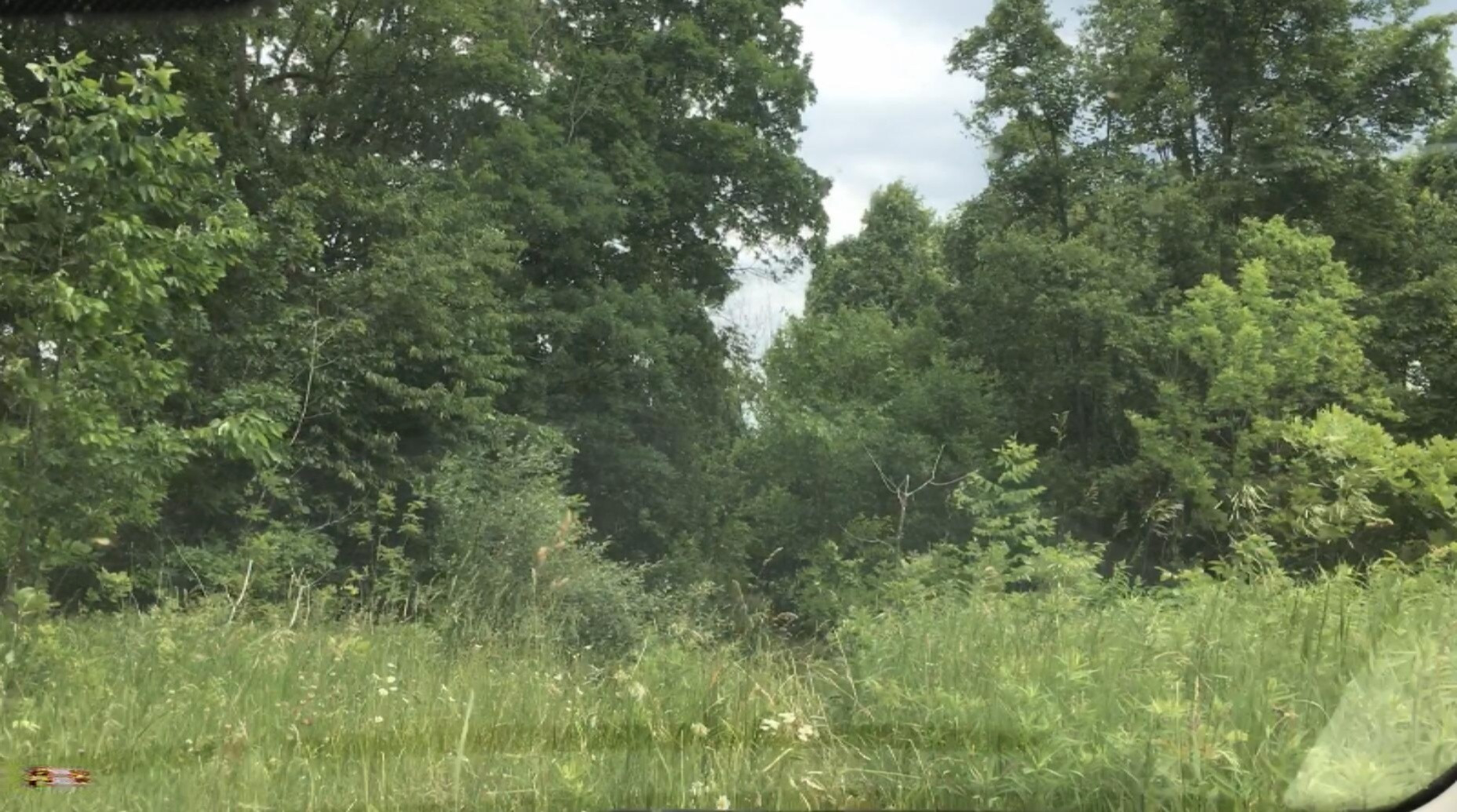 Lindsey Road Plainwell, MI 49080 - Photo 17 of 29 IMG_4415