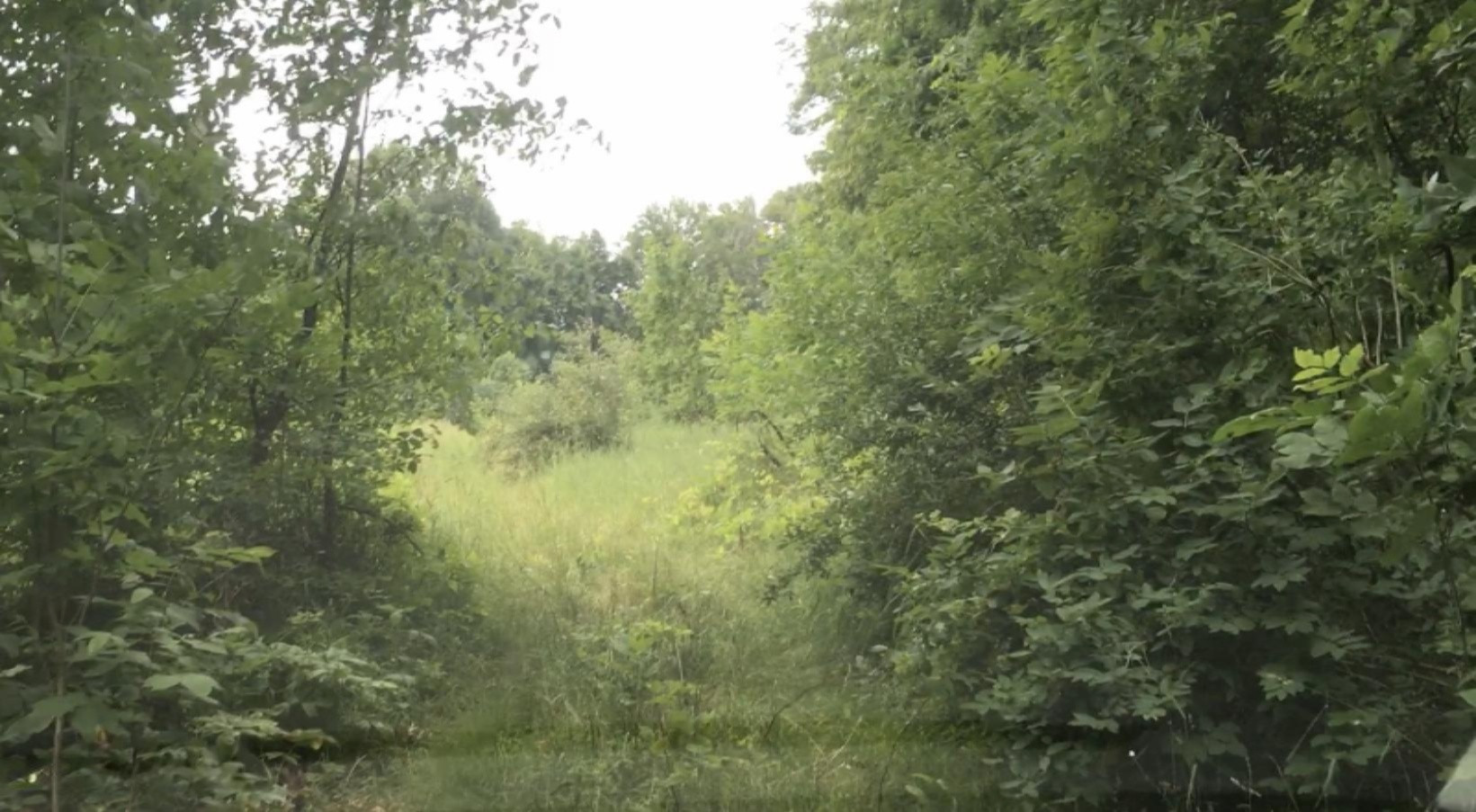 Lindsey Road Plainwell, MI 49080 - Photo 2 of 29 IMG_4396