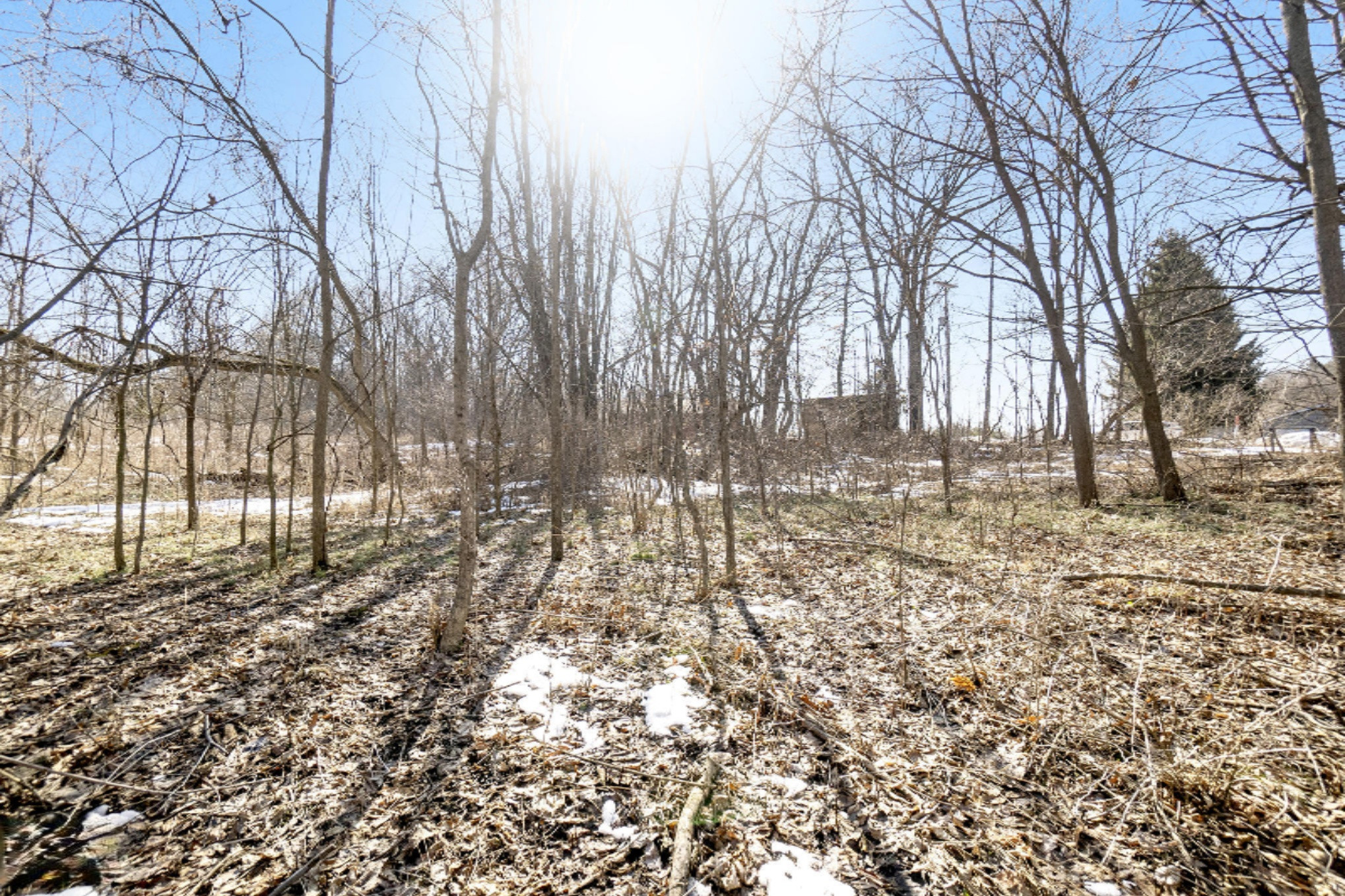 Lindsey Road Plainwell, MI 49080 - Photo 21 of 29 DNG PARCEL F LINDSEY VACANT LOT_12