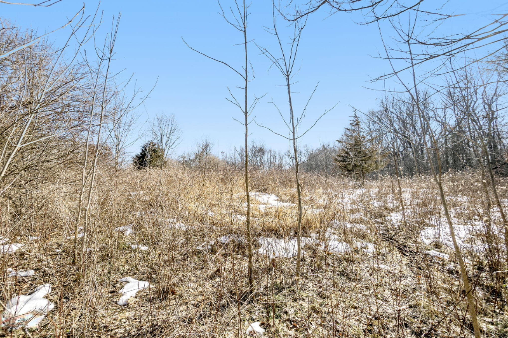 Lindsey Road Plainwell, MI 49080 - Photo 22 of 29 DNG PARCEL F LINDSEY VACANT LOT_14