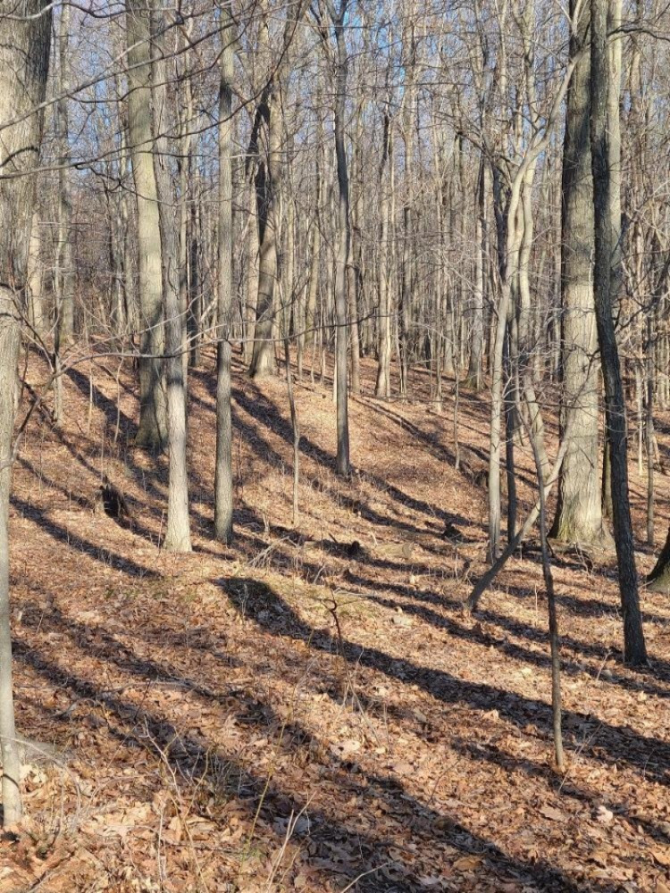 Lindsey Road Plainwell, MI 49080 - Photo 23 of 29 20210306_162632 (1)