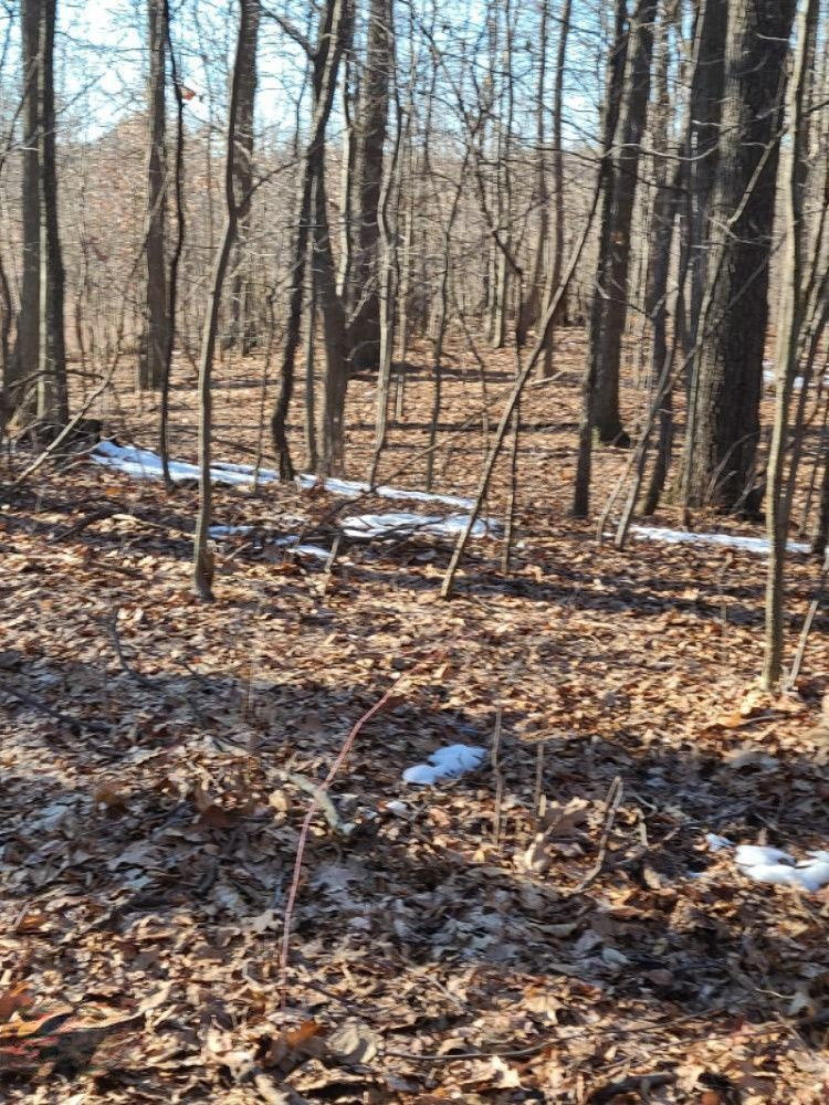 Lindsey Road Plainwell, MI 49080 - Photo 24 of 29 20210306_164127