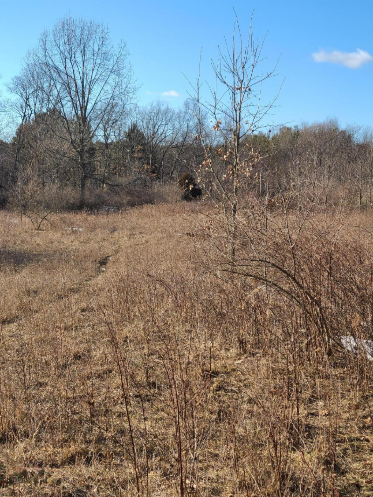 Lindsey Road Plainwell, MI 49080 - Photo 25 of 29 20210306_164440