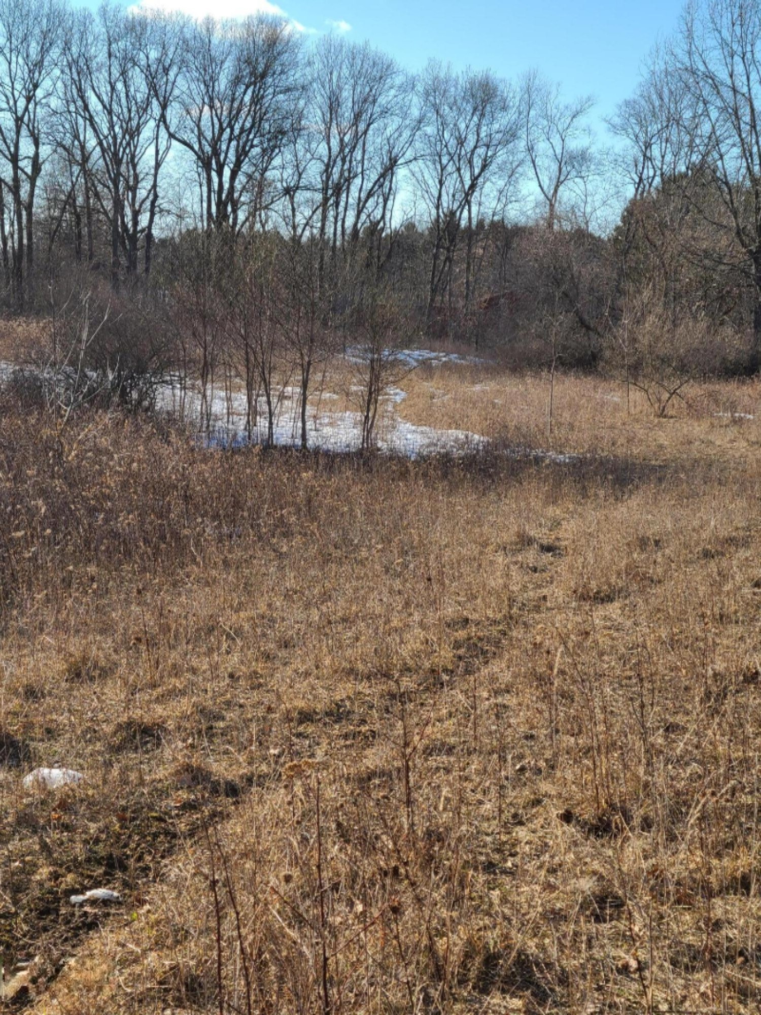 Lindsey Road Plainwell, MI 49080 - Photo 26 of 29 20210306_164442