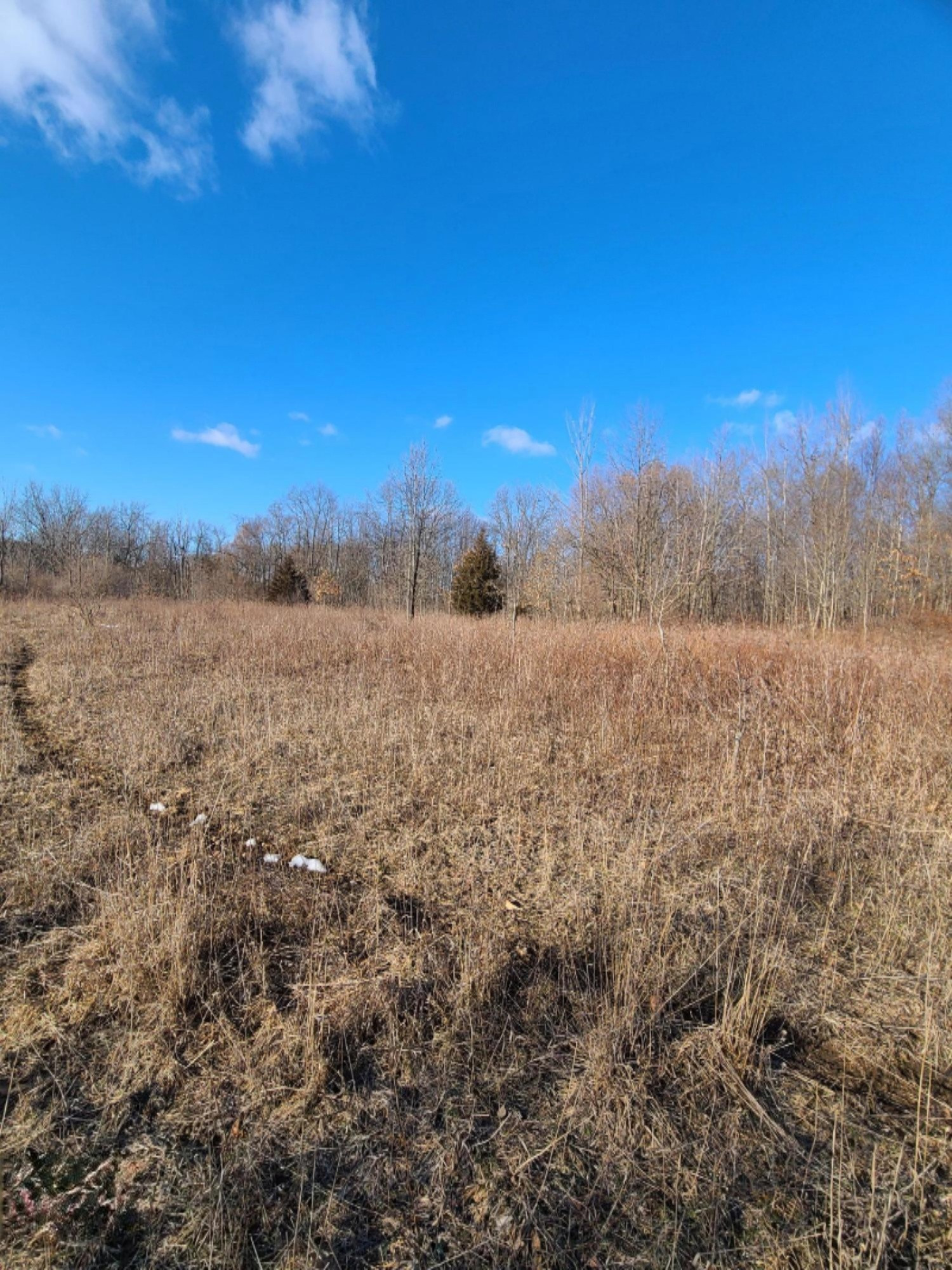 Lindsey Road Plainwell, MI 49080 - Photo 27 of 29 20210306_164542
