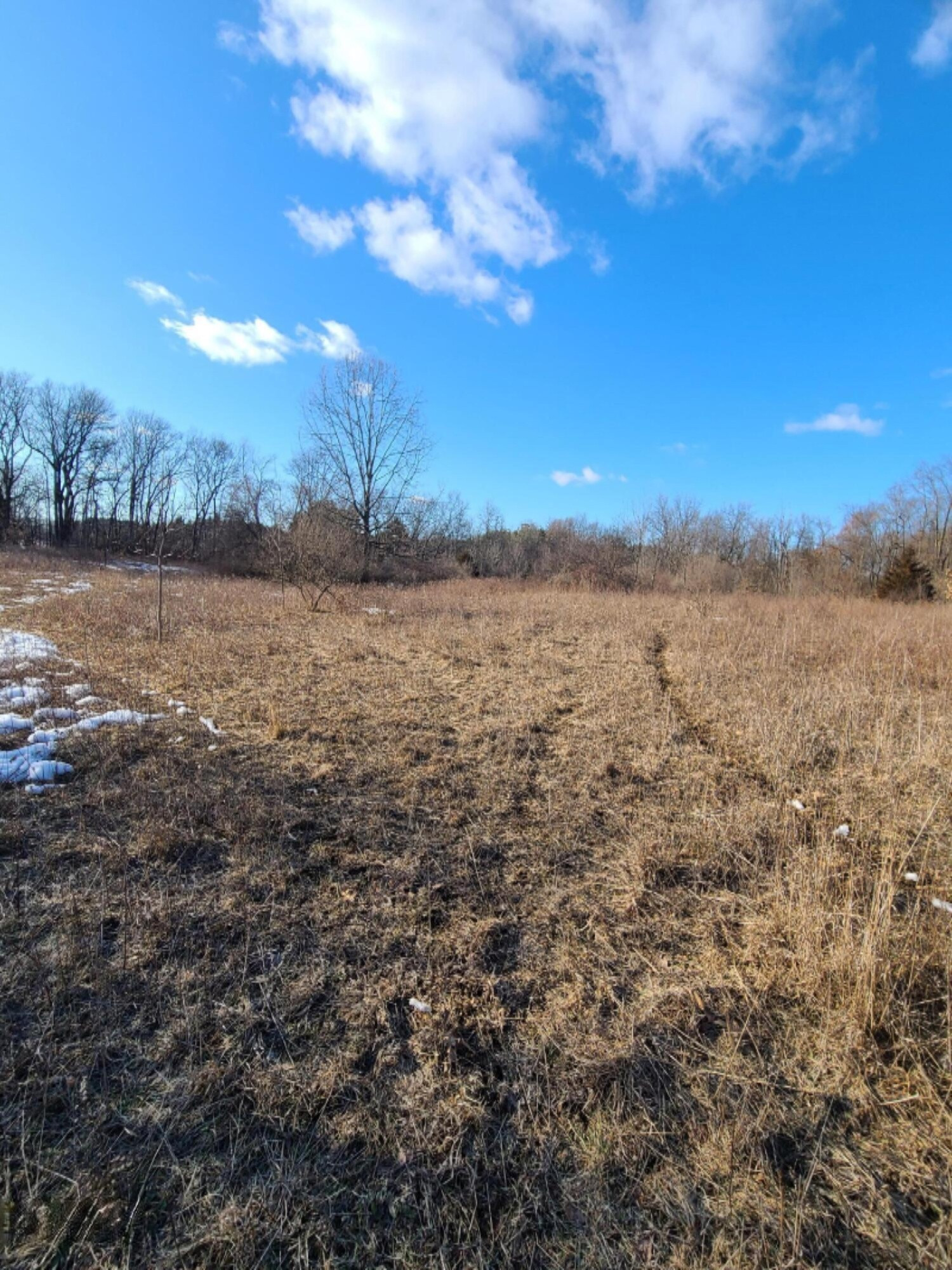 Lindsey Road Plainwell, MI 49080 - Photo 28 of 29 20210306_164548