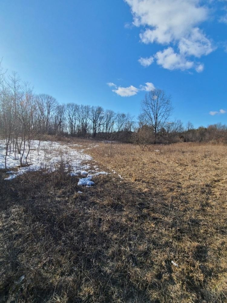 Lindsey Road Plainwell, MI 49080 - Photo 29 of 29 20210306_164551