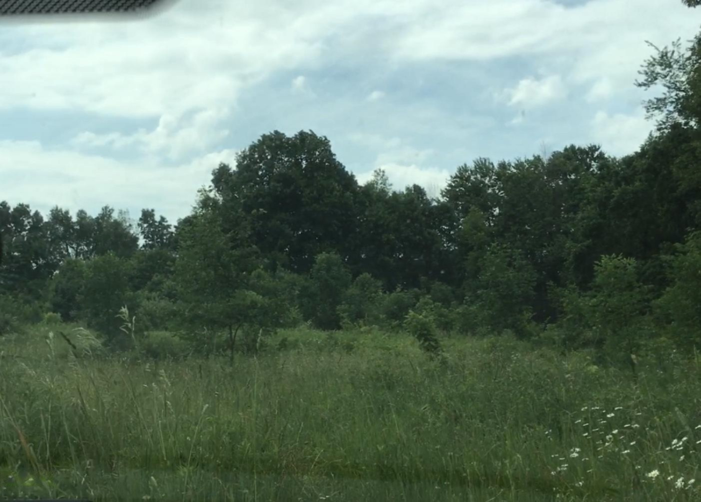 Lindsey Road Plainwell, MI 49080 - Photo 3 of 29 IMG_4398
