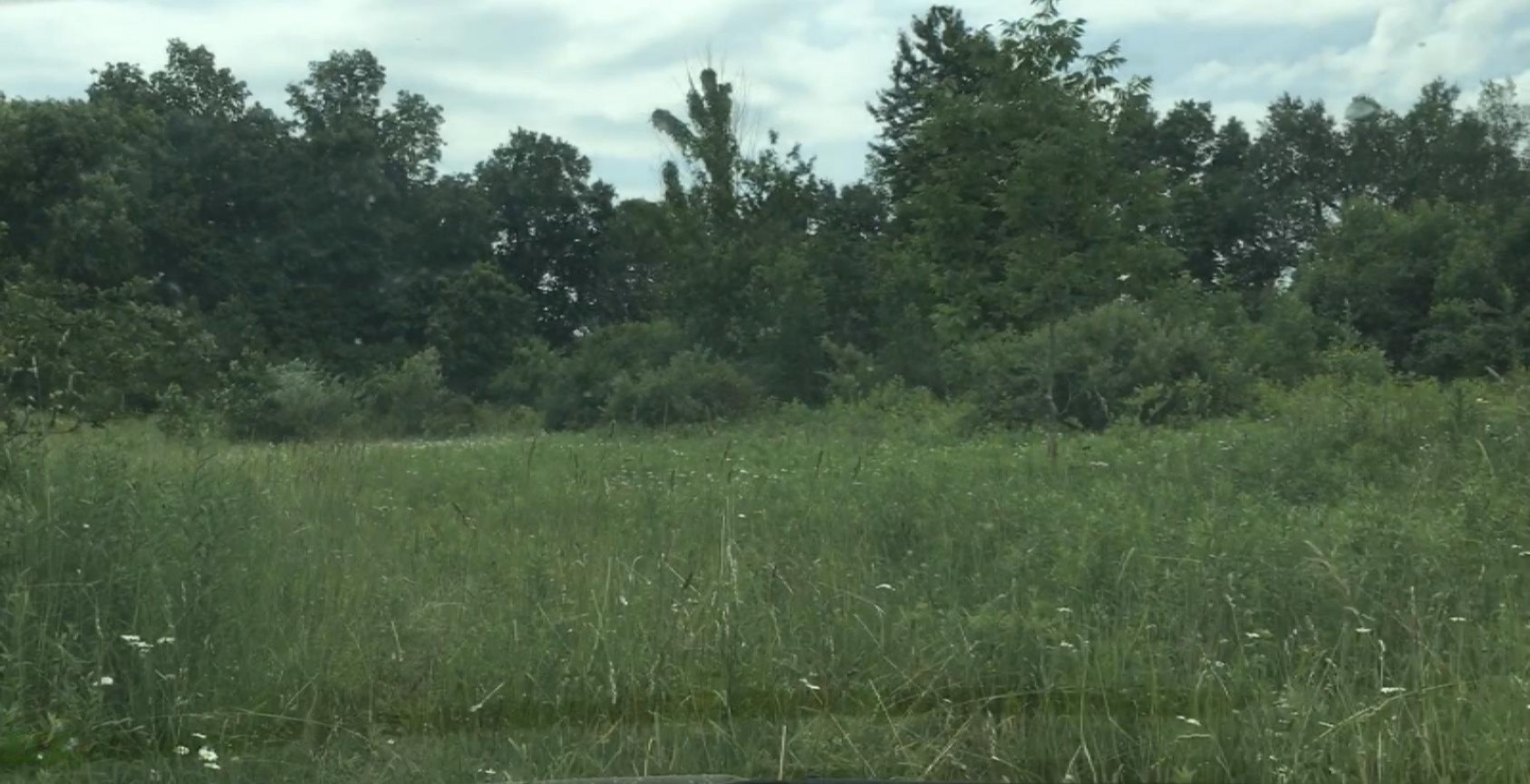 Lindsey Road Plainwell, MI 49080 - Photo 5 of 29 IMG_4401