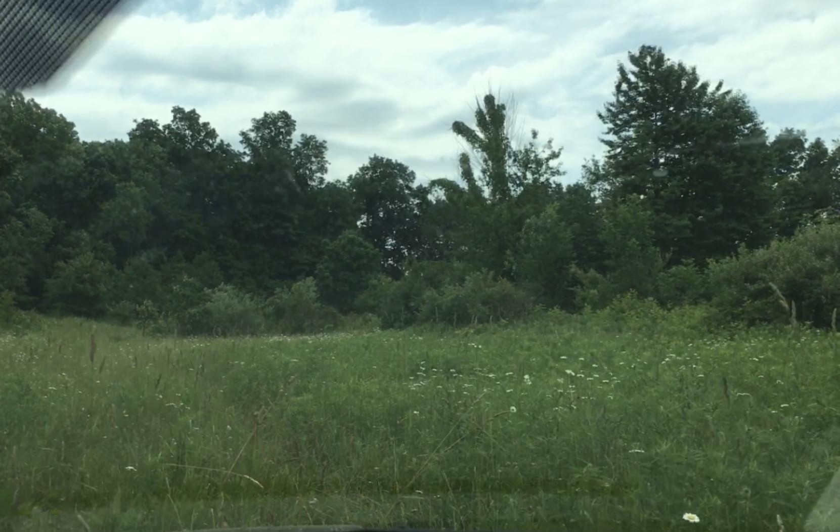 Lindsey Road Plainwell, MI 49080 - Photo 6 of 29 IMG_4402