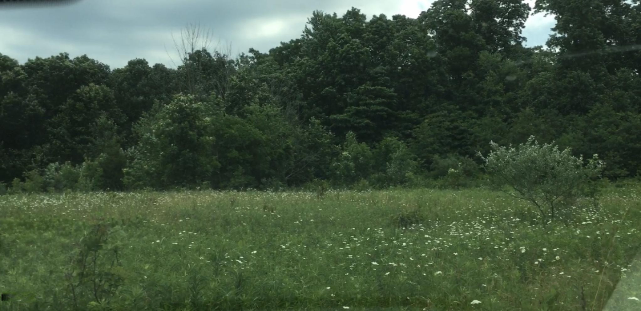 Lindsey Road Plainwell, MI 49080 - Photo 9 of 29 IMG_4406
