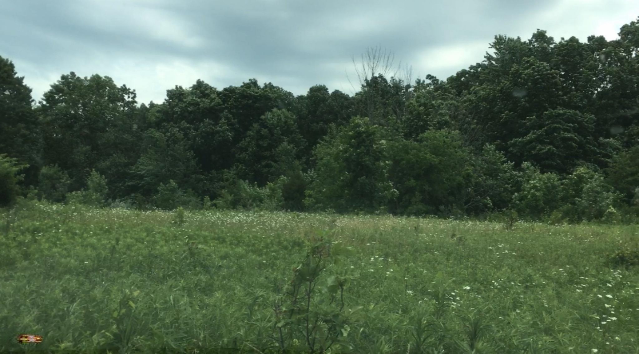 Lindsey Road Plainwell, MI 49080 - Photo 10 of 29 IMG_4407