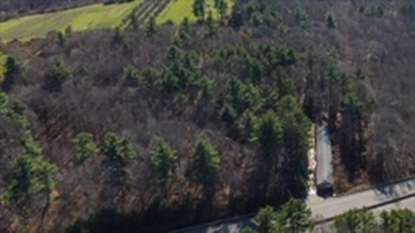 246 Worcester Road Charlton, MA 01507 - Photo 3 of 18 a view of a lot of trees