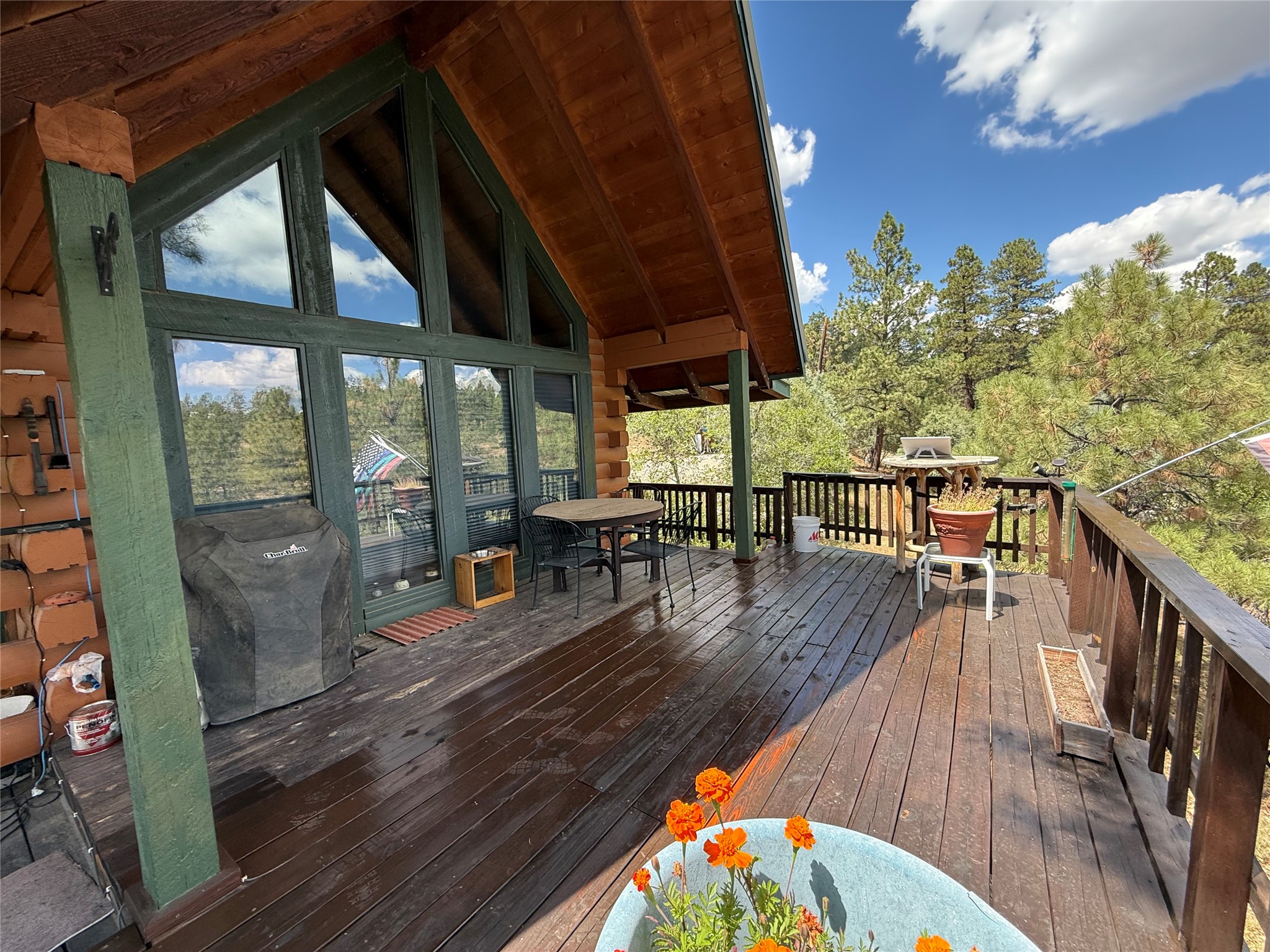 27 Rim Drive Los Ojos, NM 87551 - Photo 2 of 42