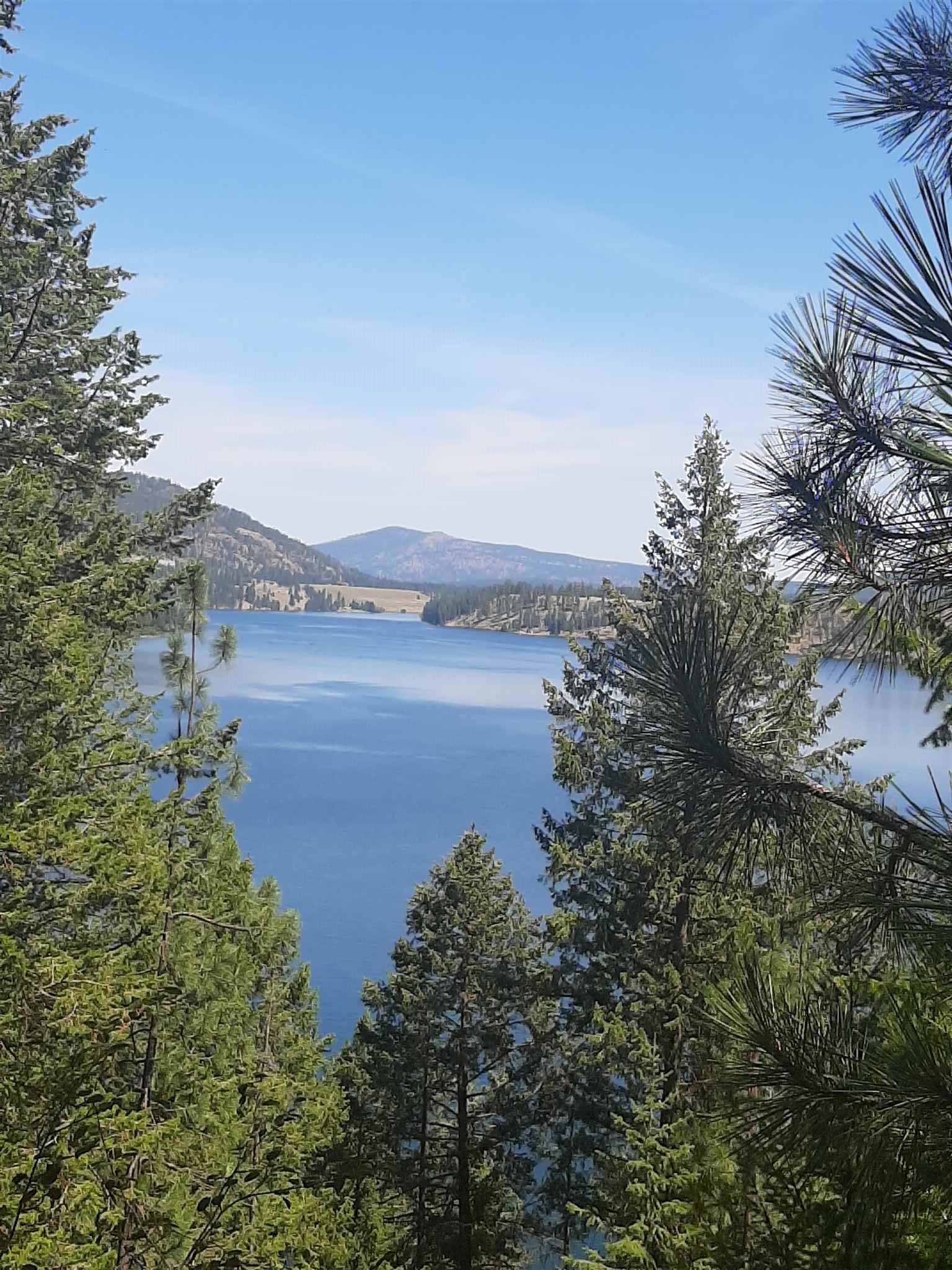 Xxx West Long Lake Road Ford, WA 99013 - Photo 1 of 17