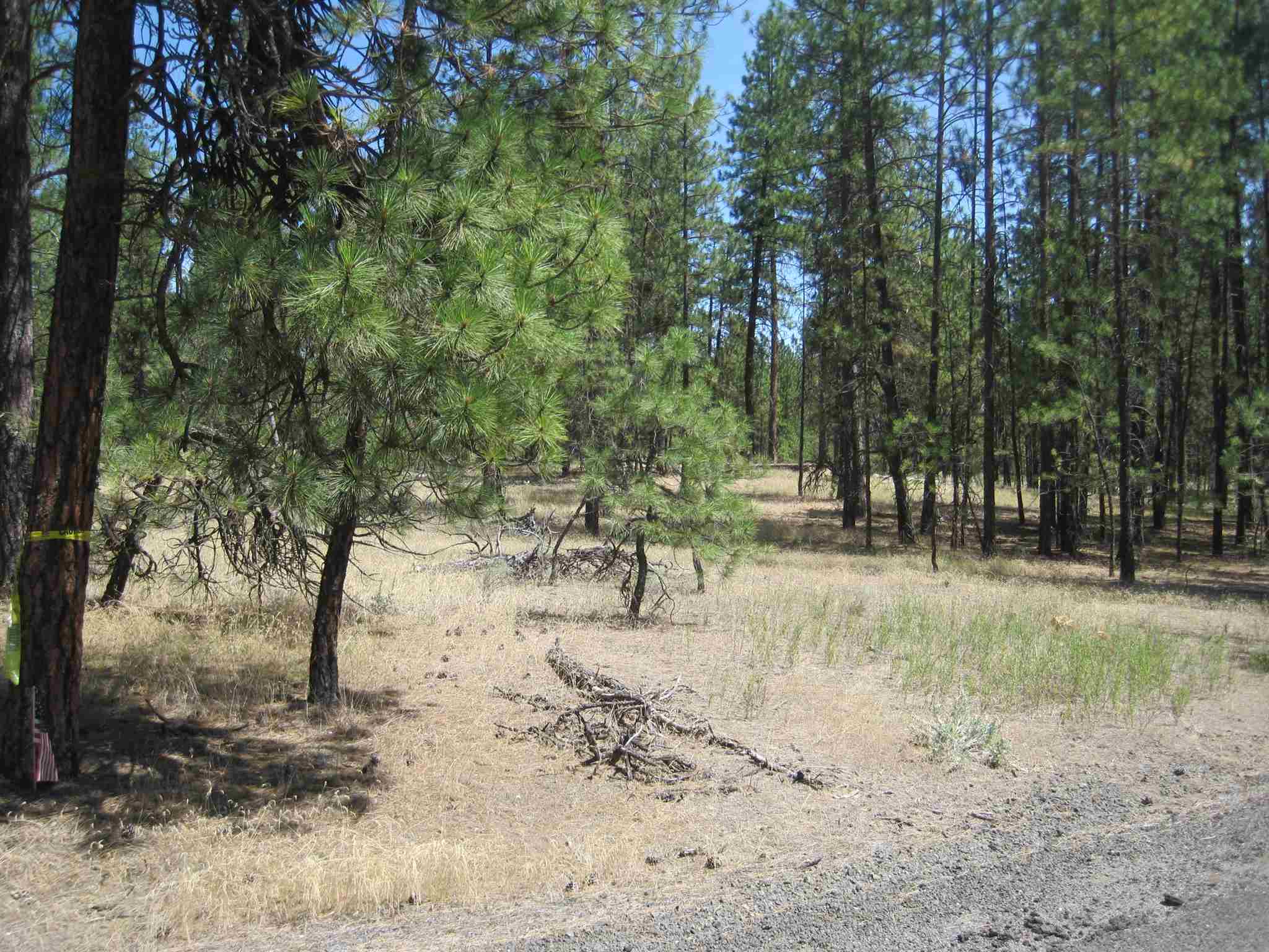 Xxx West Long Lake Road Ford, WA 99013 - Photo 5 of 17