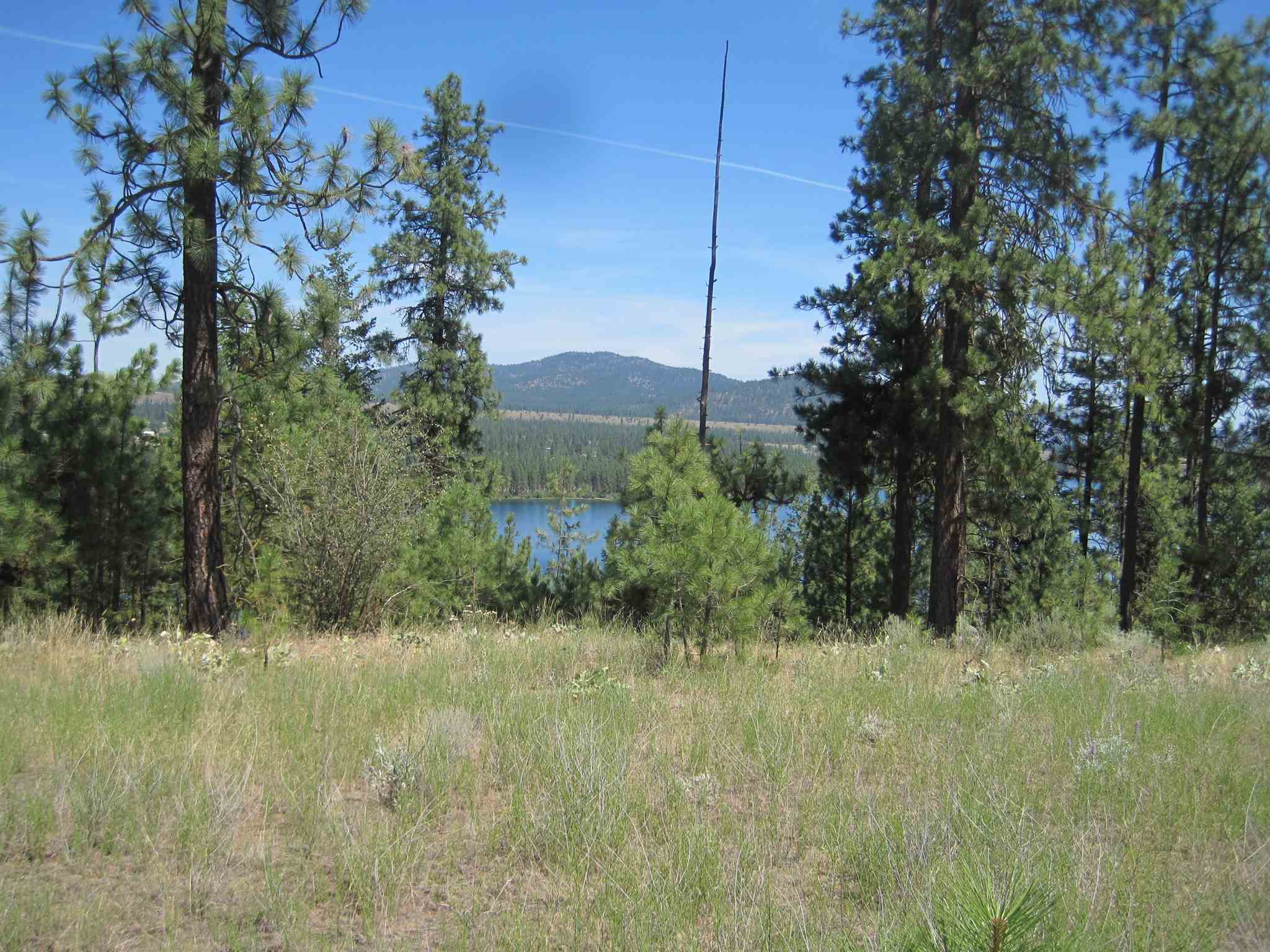 Xxx West Long Lake Road Ford, WA 99013 - Photo 7 of 17