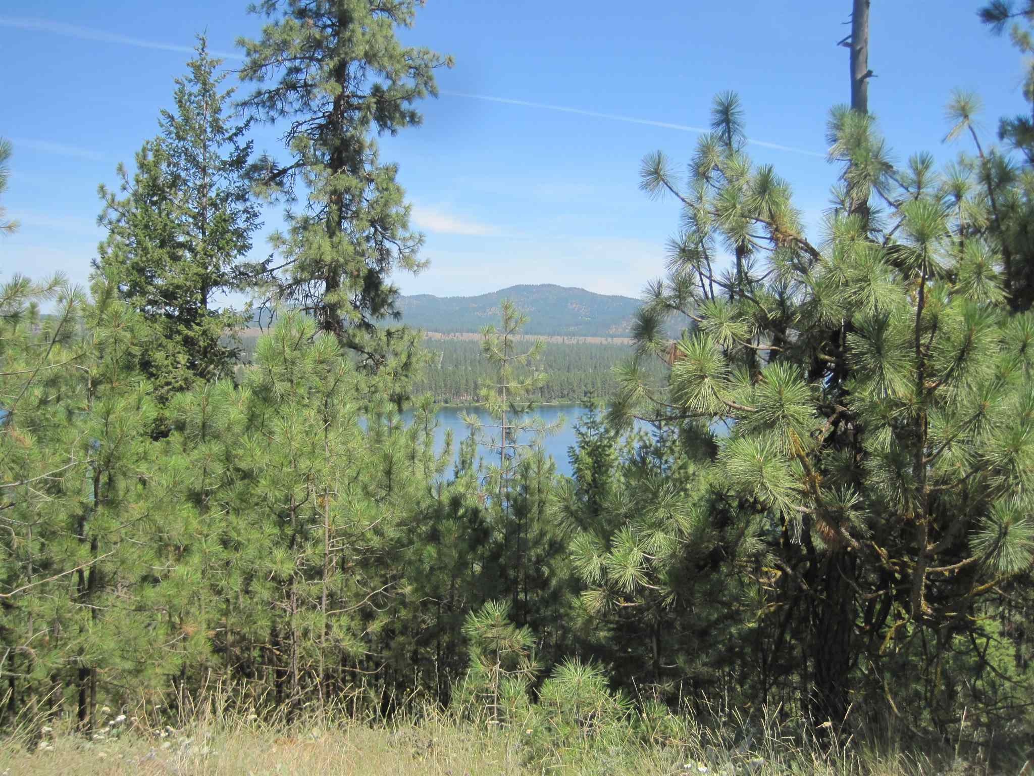 Xxx West Long Lake Road Ford, WA 99013 - Photo 8 of 17
