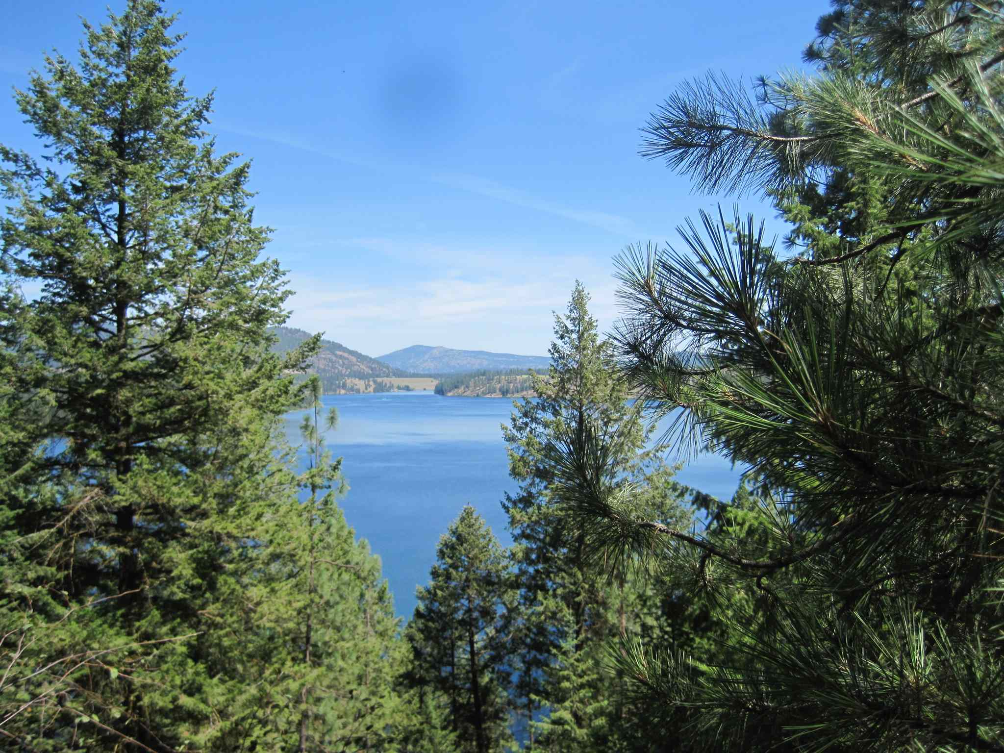 Xxx West Long Lake Road Ford, WA 99013 - Photo 10 of 17