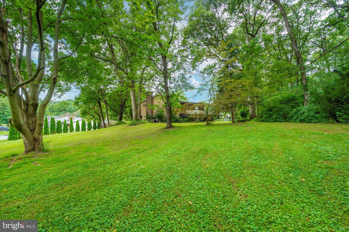204 Dwarf Road Chambersburg, PA 17202 - Photo 3 of 62 Gallery Image 3